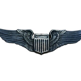 Badges and Insignias USA WWII Original