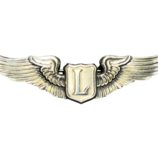 Badges and Insignias Medals USA WWII Original