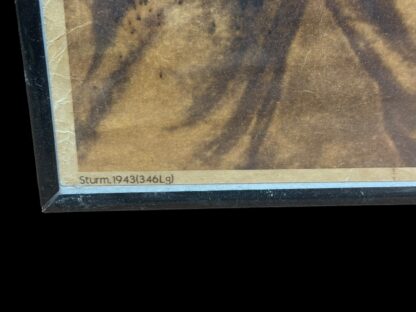 Equipment Paperwork German WWII Original
